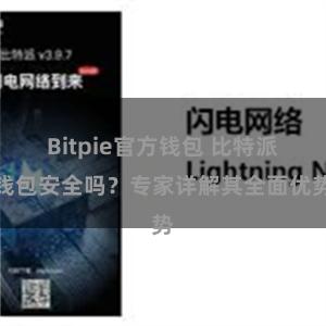 Bitpie官方钱包 比特派钱包安全吗？专家详解其全面优势