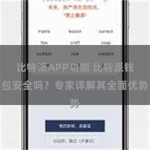 比特派APP功能 比特派钱包安全吗？专家详解其全面优势