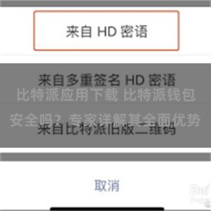 比特派应用下载 比特派钱包安全吗？专家详解其全面优势