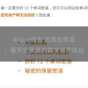 Bitpie钱包 选择比特派：最安全便捷的数字资产钱包