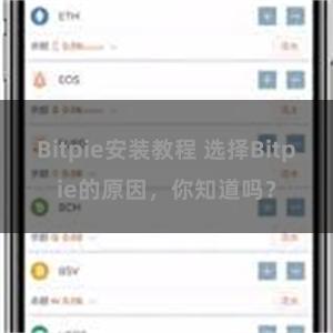 Bitpie安装教程 选择Bitpie的原因，你知道吗？