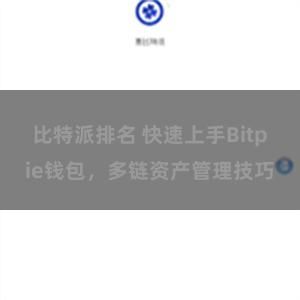 比特派排名 快速上手Bitpie钱包，多链资产管理技巧