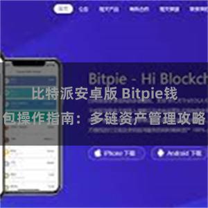 比特派安卓版 Bitpie钱包操作指南：多链资产管理攻略