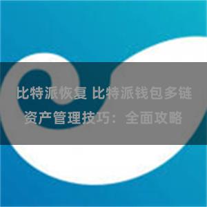 比特派恢复 比特派钱包多链资产管理技巧：全面攻略