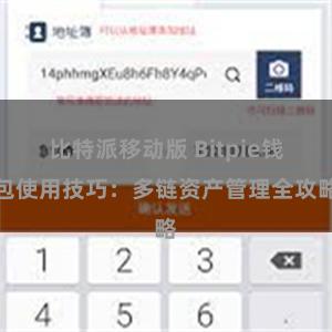 比特派移动版 Bitpie钱包使用技巧：多链资产管理全攻略