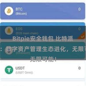 Bitpie安全钱包 比特派钱包：数字资产管理生态进化，无限可能！