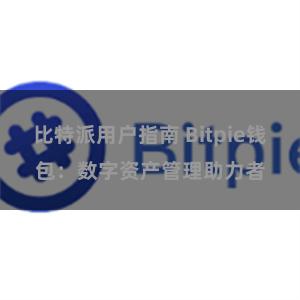 比特派用户指南 Bitpie钱包：数字资产管理助力者