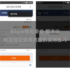 Bitpie钱包安全 解决比特派钱包使用问题的实用技巧