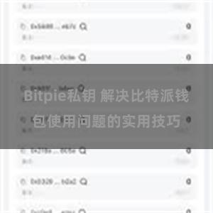 Bitpie私钥 解决比特派钱包使用问题的实用技巧