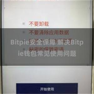 Bitpie安全保障 解决Bitpie钱包常见使用问题