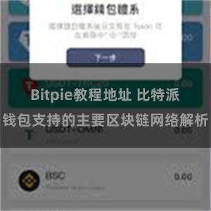 Bitpie教程地址 比特派钱包支持的主要区块链网络解析