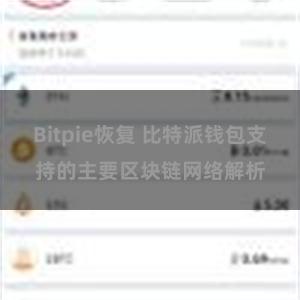 Bitpie恢复 比特派钱包支持的主要区块链网络解析