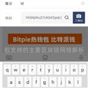 Bitpie热钱包 比特派钱包支持的主要区块链网络解析