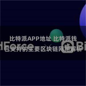 比特派APP地址 比特派钱包支持的主要区块链网络解析