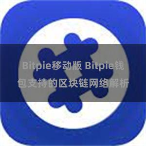 Bitpie移动版 Bitpie钱包支持的区块链网络解析