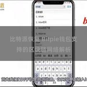 比特派恢复 Bitpie钱包支持的区块链网络解析