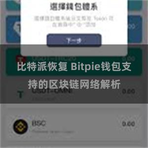 比特派恢复 Bitpie钱包支持的区块链网络解析