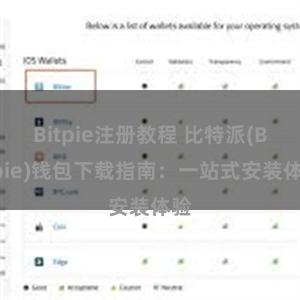 Bitpie注册教程 比特派(Bitpie)钱包下载指南：一站式安装体验