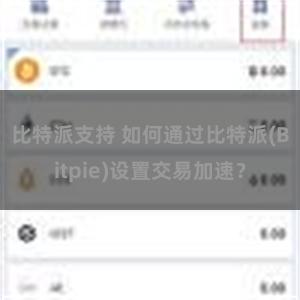 比特派支持 如何通过比特派(Bitpie)设置交易加速？