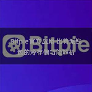 Bitpie官方应用 比特派钱包的冷存储功能解析