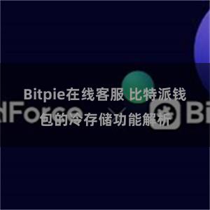 Bitpie在线客服 比特派钱包的冷存储功能解析