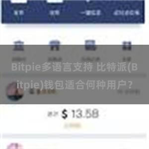 Bitpie多语言支持 比特派(Bitpie)钱包适合何种用户？