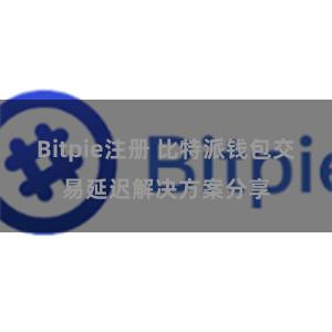 Bitpie注册 比特派钱包交易延迟解决方案分享